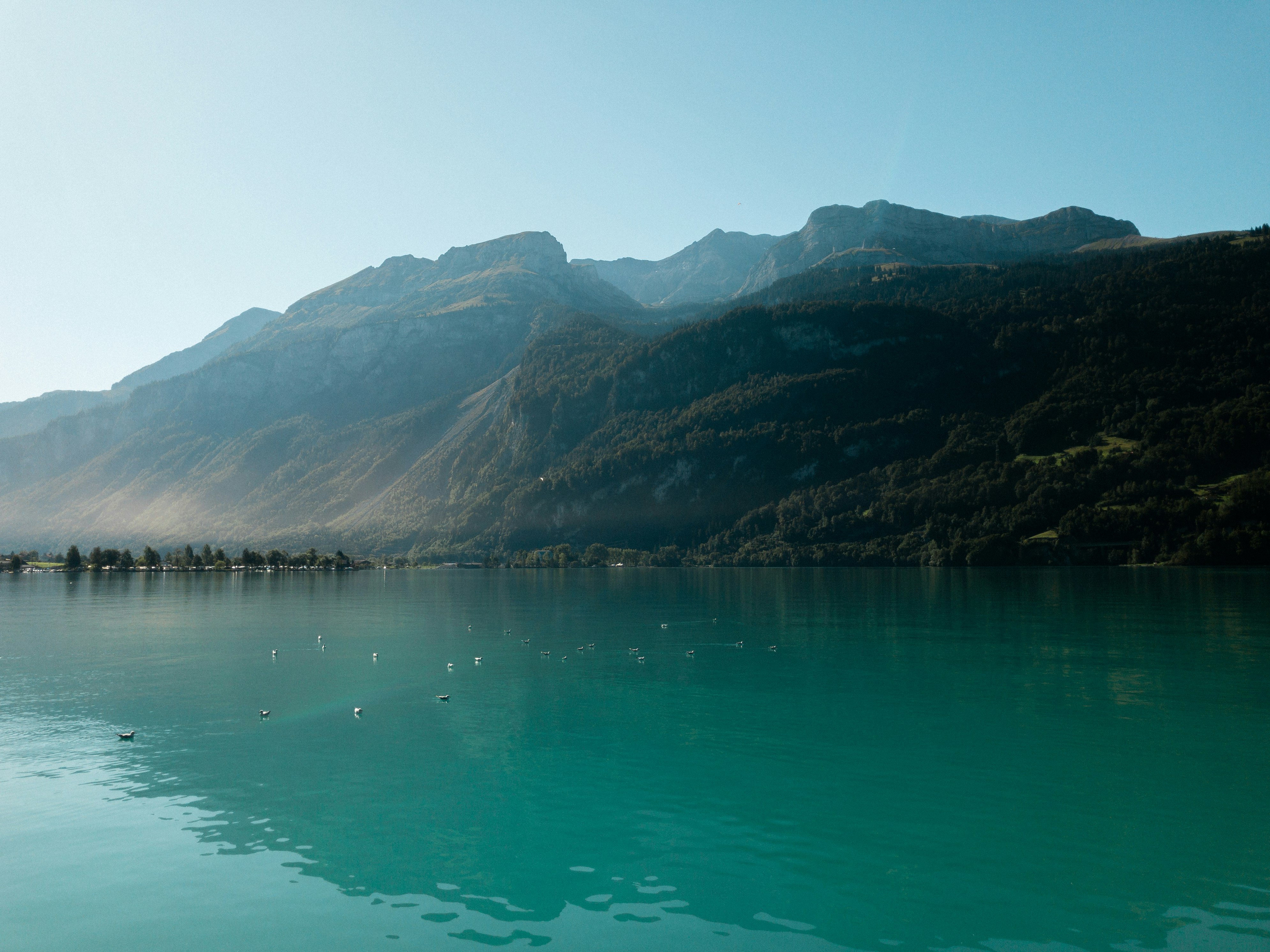 mountain beside calm body of water